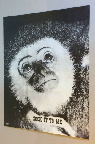 Sock It To Me Monkey Vintage Poster Head Shop Pin - Up Frank Kay 1970 