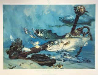 Vintage Stanley Meltzoff Poster 1985 Striped Bass At Anchor Chesapeake Bay 23x31