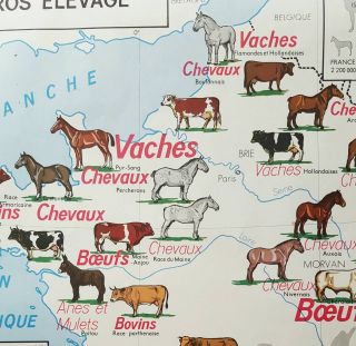 Vintage French School Map Of The Rhone And Livestock In France