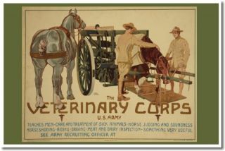 Veterinary Corps - Us Army World War I Vintage Art Print Poster