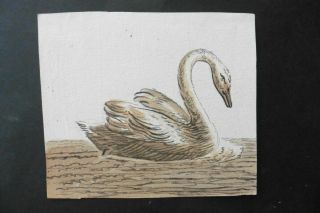 Dutch School 18thc - A Swan On A River - Ink Drawing