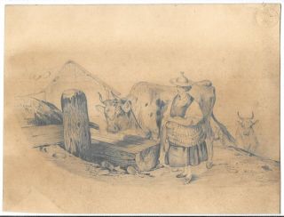 Antique 19thc Pencil Graphite Drawing Of Woman With Cows