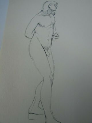 Vintage Drawing Nude Man 1976 Artist Susan Wohl 30302