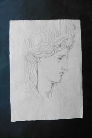 French School Ca.  1800 - Portrait Classical Figure - Apollo - Charcoal Drawing