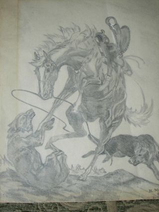 Vintage Pencil Drawing Riderless Horse Attacked By Wolves Signed " Middaugh " 1954