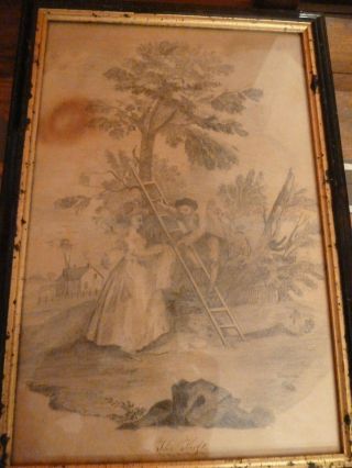 Antique Pencil Sketch The Theft Boy On Ladder 19th Century