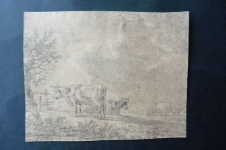 Dutch School Ca.  1800 - Animated Landscape With Cows Sign.  Kobell - Charcoal