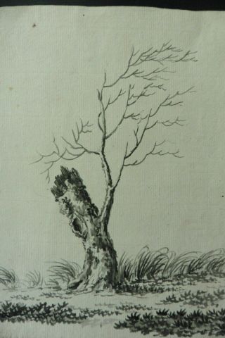 DUTCH SCHOOL 18thC - A TREE IN A LANDSCAPE - INK DRAWING 2