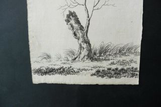 DUTCH SCHOOL 18thC - A TREE IN A LANDSCAPE - INK DRAWING 3