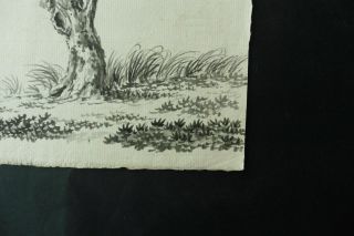 DUTCH SCHOOL 18thC - A TREE IN A LANDSCAPE - INK DRAWING 4