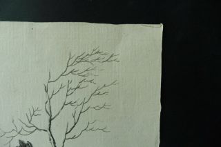 DUTCH SCHOOL 18thC - A TREE IN A LANDSCAPE - INK DRAWING 5