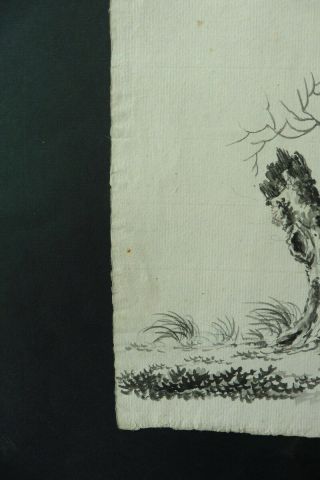 DUTCH SCHOOL 18thC - A TREE IN A LANDSCAPE - INK DRAWING 7