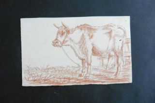 Dutch School 18thc - A Cow In A Meadow - Decorative Red Chalk Drawing