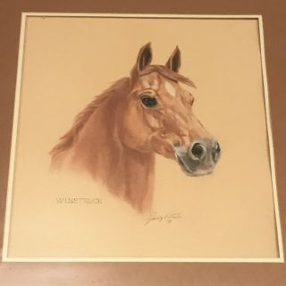 Vintage Race Horse Pastel Drawing Winstruck By Sally Vertulia 1979 Framed Canada