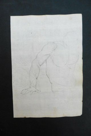Italian - Bolognese School 18thc - Studies Male Nudes - Charcoal Drawing