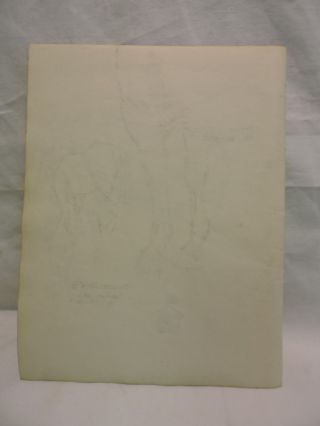GLEN TRACY SKETCH BOOK PAGE CIRCUS HORSE 1942 ZOPPE - ZAVATTA DUVENECK STUDY 4