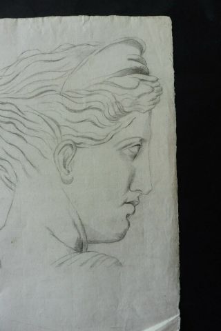 FRENCH SCHOOL CA.  1810 - PORTRAIT CLASSICAL FIGURE - DIANA - CHARCOAL DRAWING 2