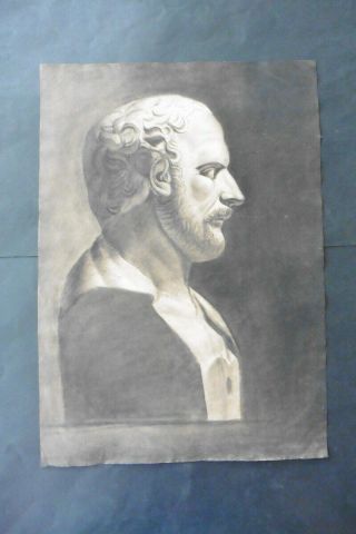 French School Ca.  1810 - Study Classical Bust Man - Charcoal Drawing