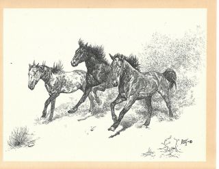 Western Horses Cowboys Black And White Lithograph Prints Set Of 4 Buck Nimy