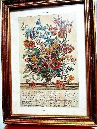 Vintage Williamsburg Flower Prints (4) Framed