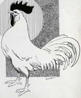 ROOSTER CHICKEN Vintage 1920 ' s Ink Drawing ILLUSTRATION FOLK ART by BUCHWALTER 2