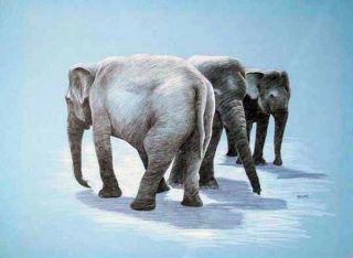 Three Elephants,  Collectible Fine Art Animal Drawing Signed One - Of - A - Kind Helvey