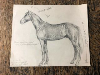 Dated & Signed 1944 Fantastic Pencil Drawing Of Horse On Wonder Valley Ranch