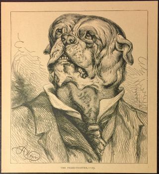 Vintage 1891 Victorian Book Drawing Dog Caricature As A Prize - Fighter Boxer