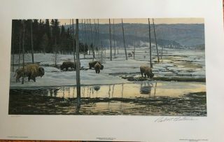 Robert Bateman Morning On The Flats Bison Signed And Numbered