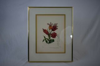 Salvador Dali Signed And Numbered Etching Tulips And Unicorn