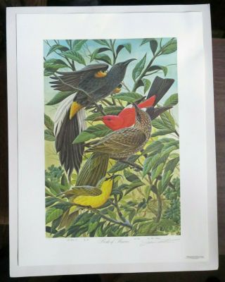John A Ruthven Birds Of Hawaii 1986 Limited Edition Signed Print 491/600