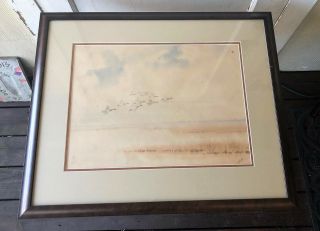 Jd Knap Framed,  Signed Sporting Art Ducks Watercolor - C 1920s