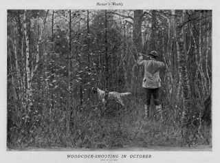 Hunting Woodcock Shooting In October By A.  B.  Frost Hunter With Dog Takes Shot