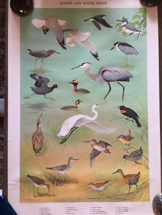 1965 Pa Game Commission Ned Smith Posters,  Set Of 4 Nos,  Birds Mammals Winter