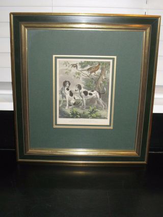 Antique Framed Hand Colored Engraving Dog &game Fox Hound Pointer Cross