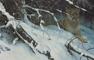 Robert Bateman - Cougar In The Snow