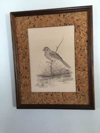 Framed Pencil Drawing Print By Jubie Henderson Signed/numbered Song Sparrow
