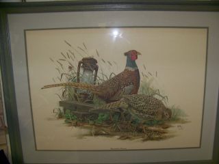 Don Balke Art Wildlife Studio Limited Edition Signed Print Ring - Necked Pheasant