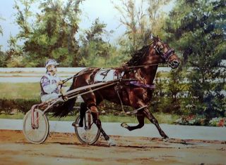 Signed Limited Ed.  Litho of Niatross by equine Artist Cindy Erkfitz 2