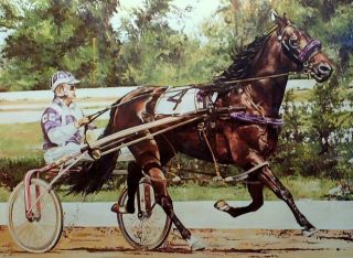 Signed Limited Ed.  Litho of Niatross by equine Artist Cindy Erkfitz 3