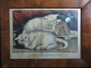 Antique Currier & Ives Litho.  Print My Little White Kitties Taking The Cake 344