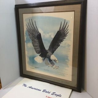 The American Bald Eagle Gene Gray 1970 Signed Print Watercolor Local Art Ohio
