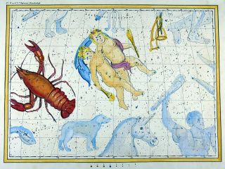 Rarissimum Large Celestial Map Crabs Gemini From Atlas By Hoffmann 37 Cm
