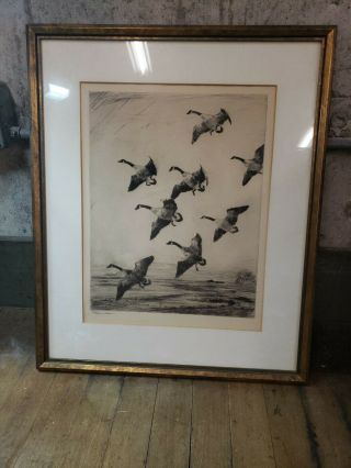 Frank Benson Framed,  Signed Sporting Art Drypoint Etching - The Hovering Geese