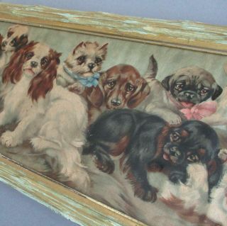 Antique C1890s Yardlong Chromo Dogs Puppies Orig Wood Frame C L Van Vredenburgh