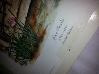 Paula Vaughan Framed Limited Edition - JUNE BRIDES - pencil signed 1414 / 1500 8