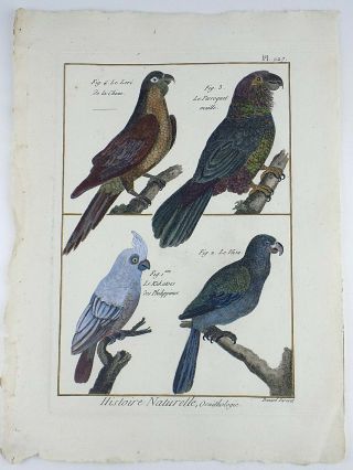 1790 FOLIO Bonnaterre - Cockatoo Parrots - fine hand colored engraving 2