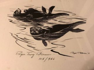 Roger Tory Peterson Pencil Signed Seals Limited Ed Print Art ’d Framed