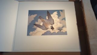 Richard Sloan Raptor Fund Stamp & Print " The Peregrine Falcon " Unframed