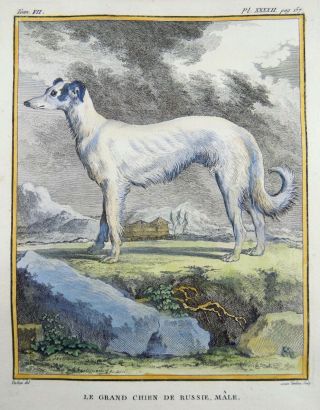 1766 De Seve - Dog Grand Chien De Russie - Quarto Hand Colored Engraving